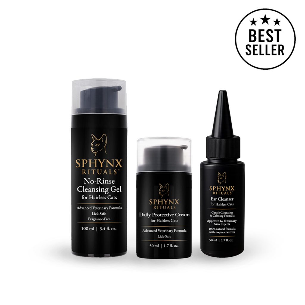 DAILY ESSENTIALS SET