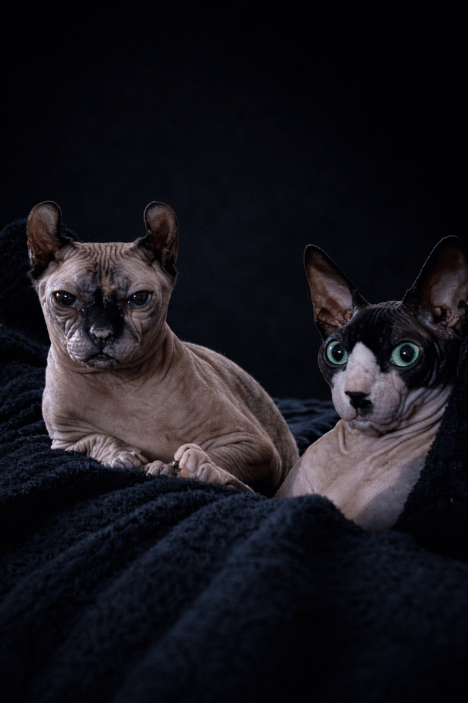 Nasza historia - zdjęcie 3