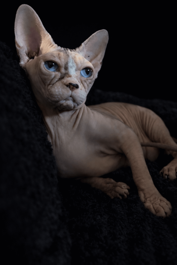 Nasza historia - zdjęcie 4