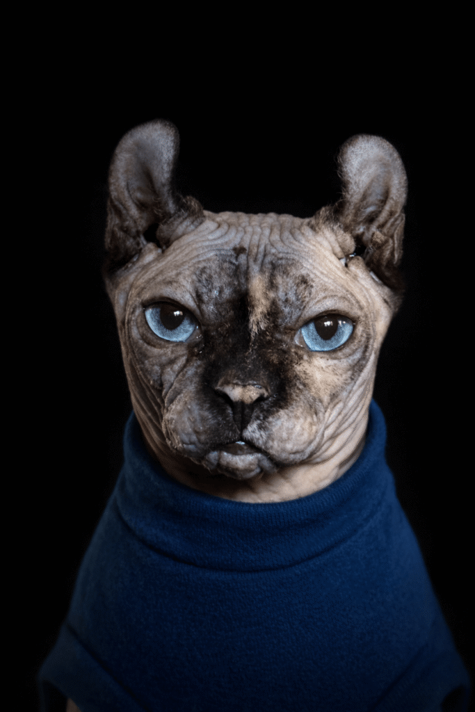 Nasza historia - zdjęcie 5