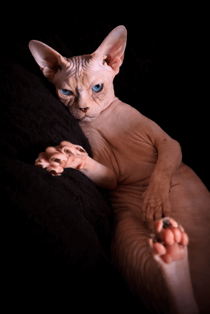 Nasza historia - zdjęcie 6